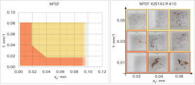 IFANGER Spankontrolle