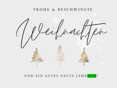 Frohe Weihnachten und einen guten Rutsch ins neue Jahr!